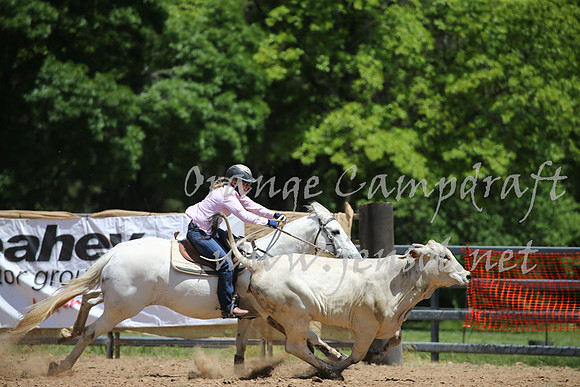 OrangeCampdraft_0229