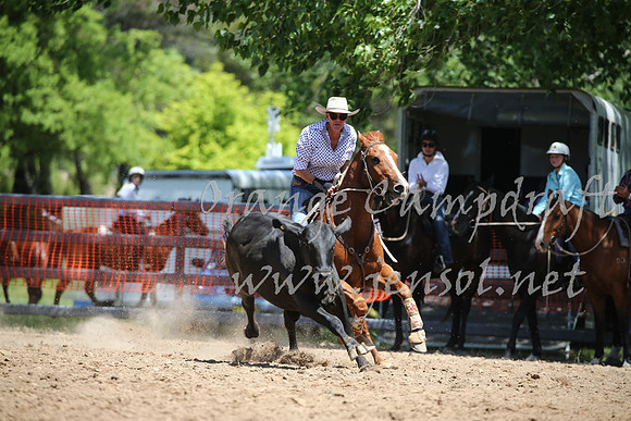 OrangeCampdraft_0197