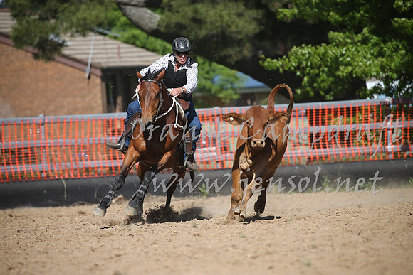 OrangeCampdraft_0421