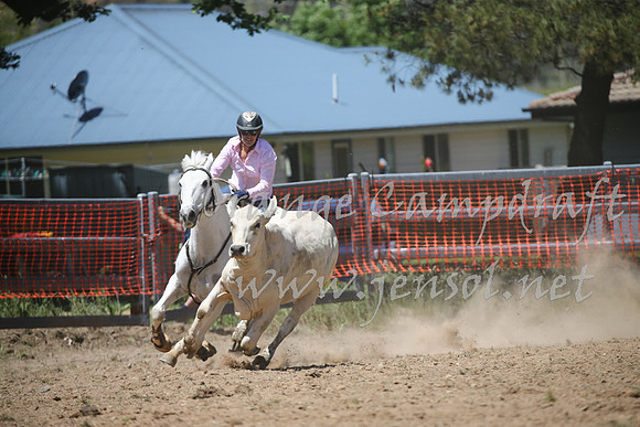 OrangeCampdraft_0220