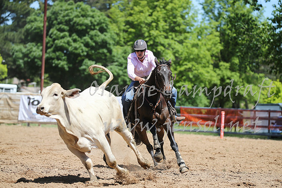 OrangeCampdraft_0235