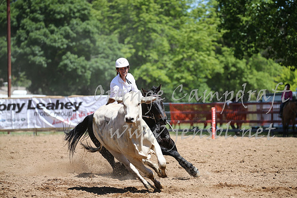 OrangeCampdraft_0305