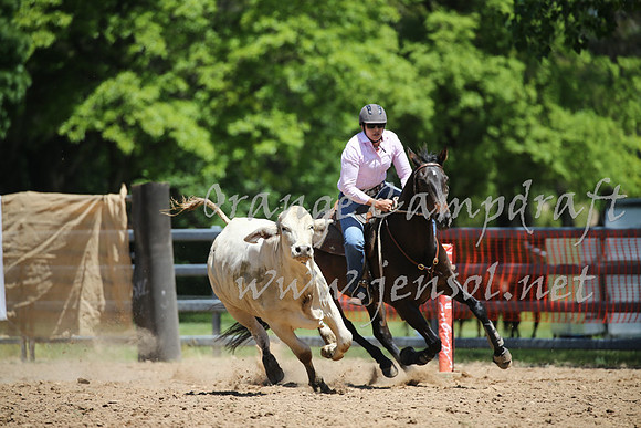 OrangeCampdraft_0245