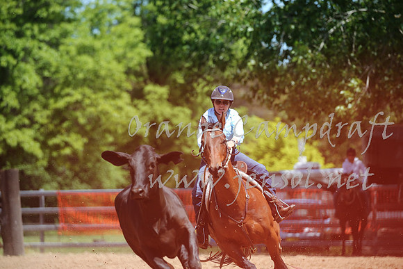 OrangeCampdraft_0206