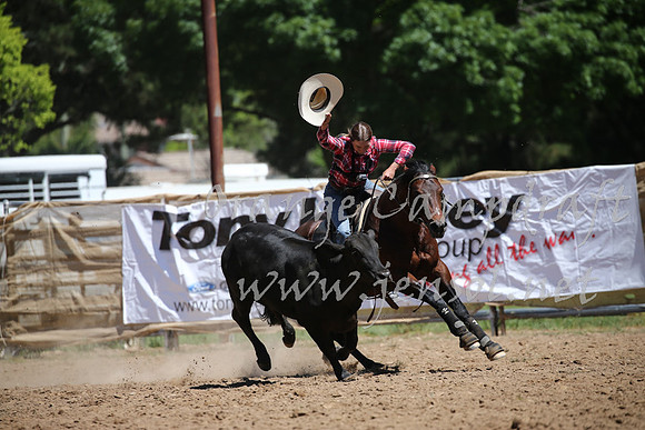 OrangeCampdraft_0346