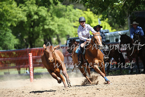 OrangeCampdraft_0289