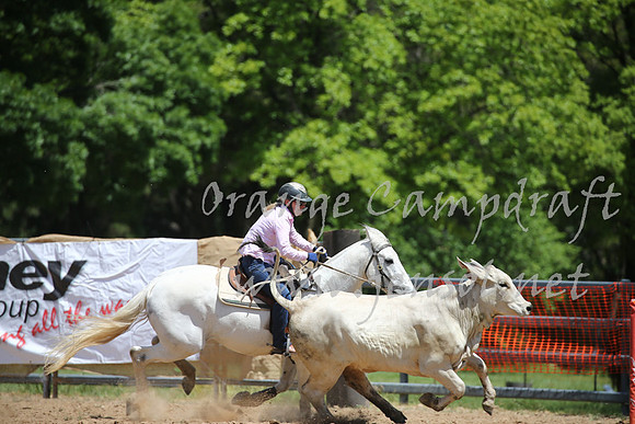 OrangeCampdraft_0228