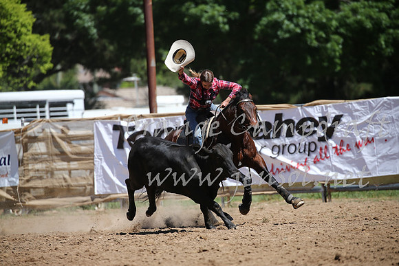 OrangeCampdraft_0354