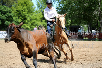 OrangeCampdraft_0152