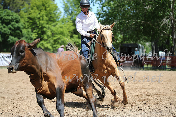 OrangeCampdraft_0152