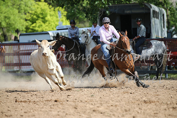 OrangeCampdraft_0403