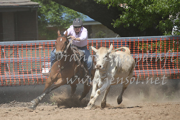 OrangeCampdraft_0390