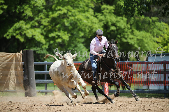 OrangeCampdraft_0248