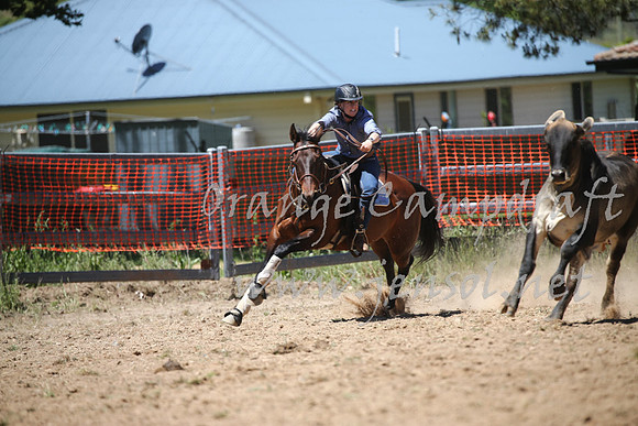 OrangeCampdraft_0137