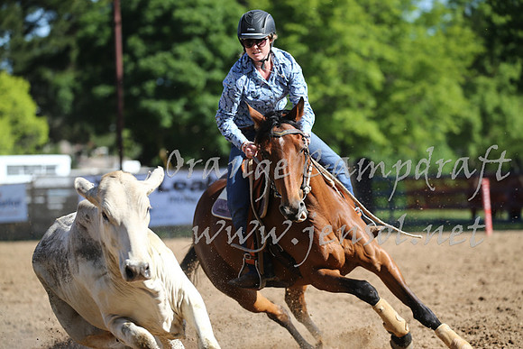 OrangeCampdraft_0463