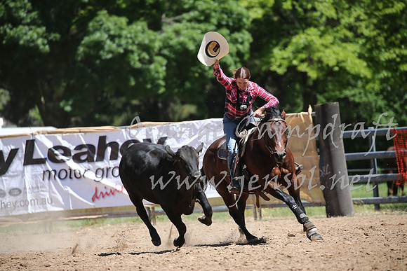 OrangeCampdraft_0347