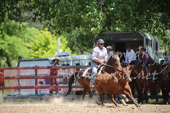 OrangeCampdraft_0266
