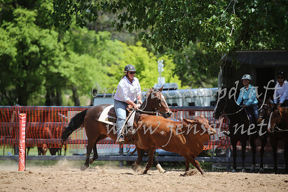 OrangeCampdraft_0265