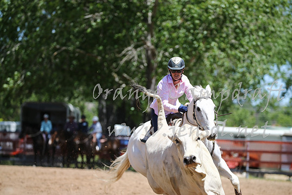 OrangeCampdraft_0217