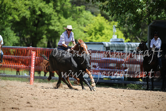 OrangeCampdraft_0202