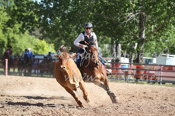 OrangeCampdraft_0413