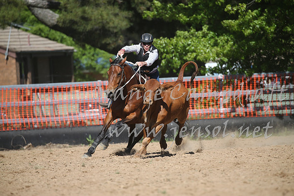 OrangeCampdraft_0415