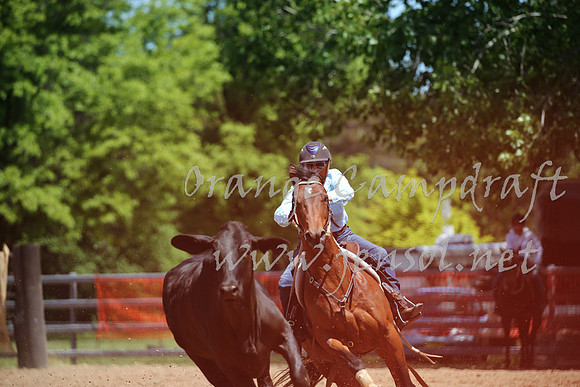 OrangeCampdraft_0205