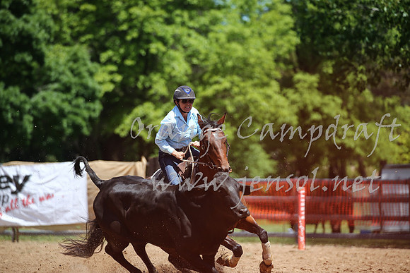OrangeCampdraft_0212