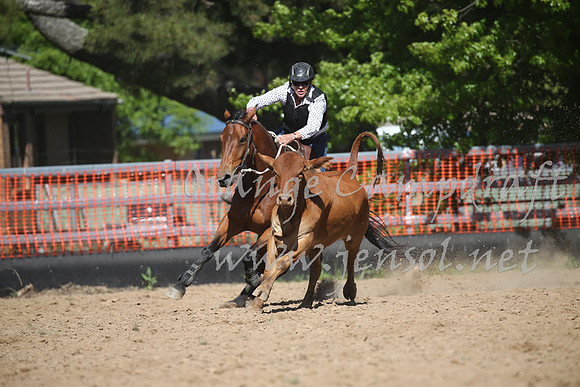OrangeCampdraft_0416