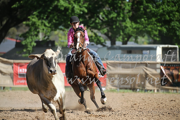 OrangeCampdraft_0439