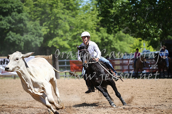 OrangeCampdraft_0300