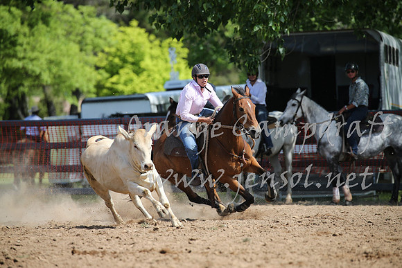 OrangeCampdraft_0399