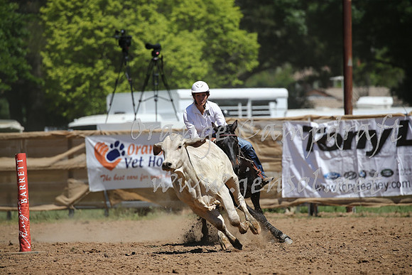 OrangeCampdraft_0314
