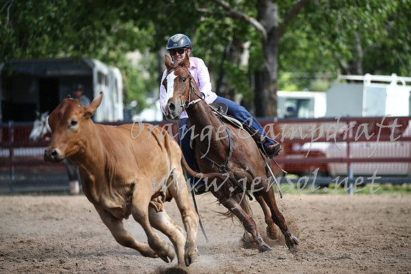 OrangeCampdraft_0388