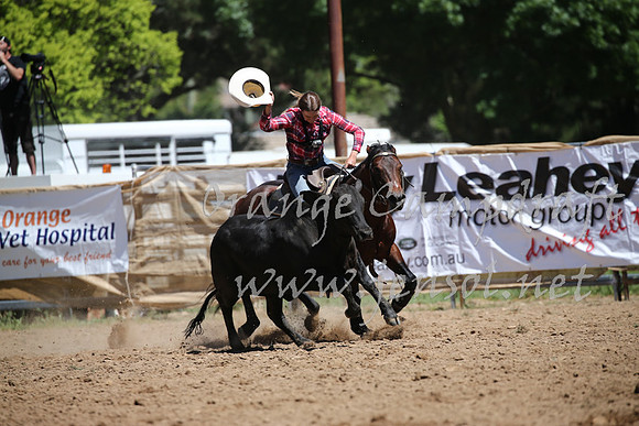 OrangeCampdraft_0353
