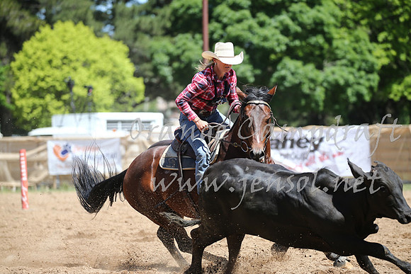 OrangeCampdraft_0319