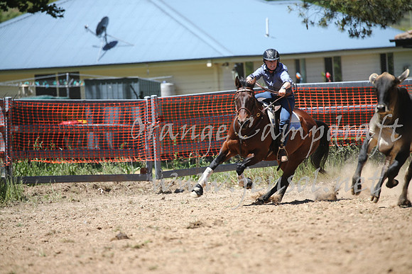 OrangeCampdraft_0139