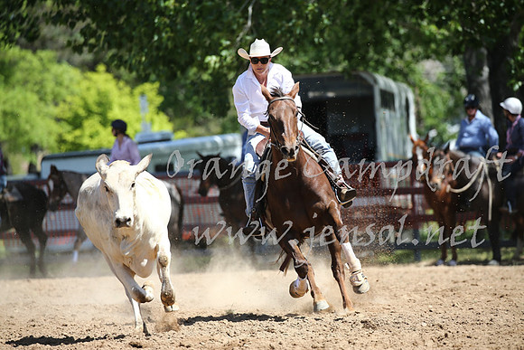OrangeCampdraft_0374