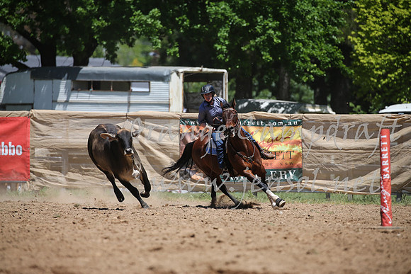 OrangeCampdraft_0147