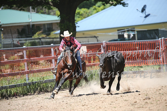 OrangeCampdraft_0338