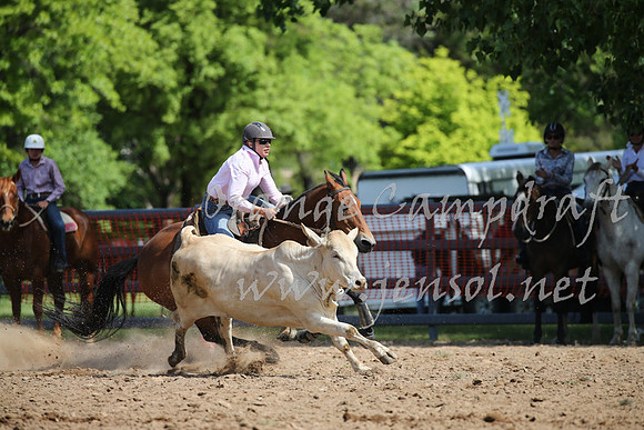 OrangeCampdraft_0404