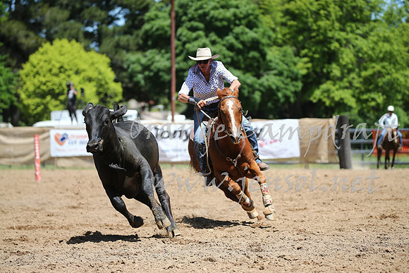 OrangeCampdraft_0185