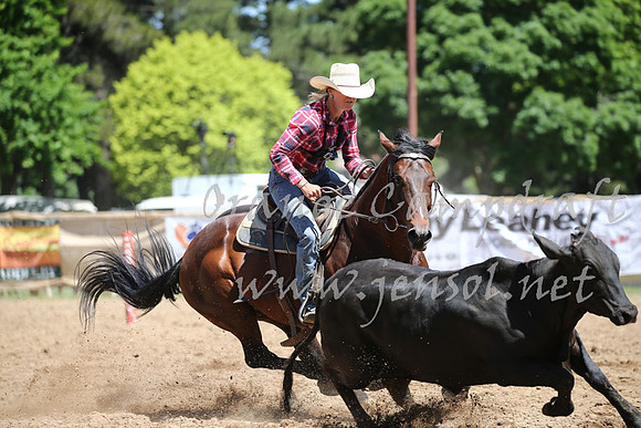 OrangeCampdraft_0318