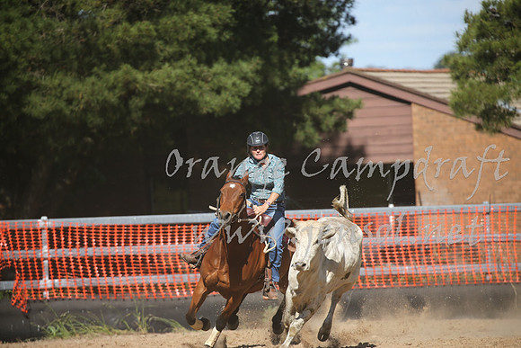OrangeCampdraft_0451