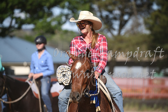 OrangeCampdraft_0493