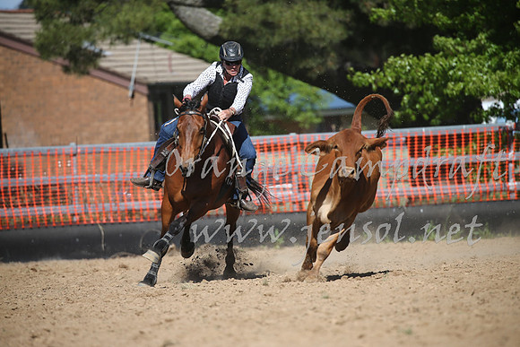 OrangeCampdraft_0419