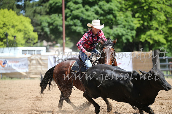 OrangeCampdraft_0320