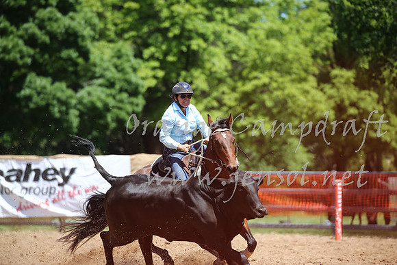 OrangeCampdraft_0210