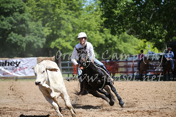 OrangeCampdraft_0303