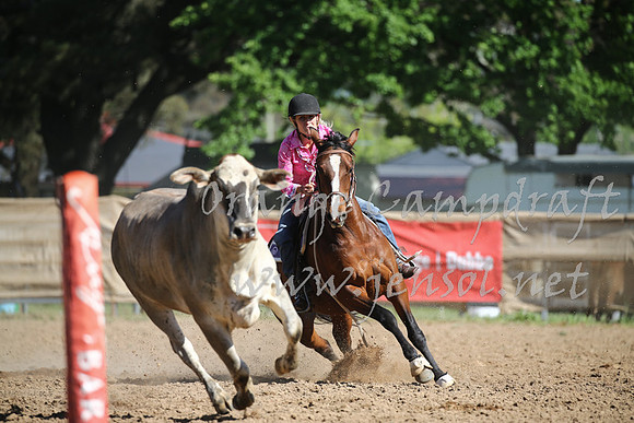 OrangeCampdraft_0435